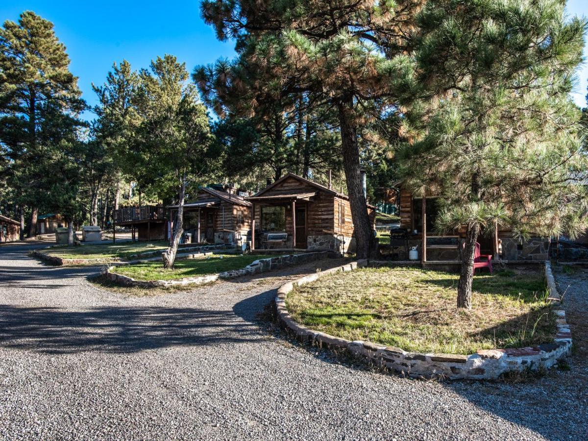 Alpine Cabin, 3 Bedrooms, Deck, Sleeps 8 ルイドソ エクステリア 写真